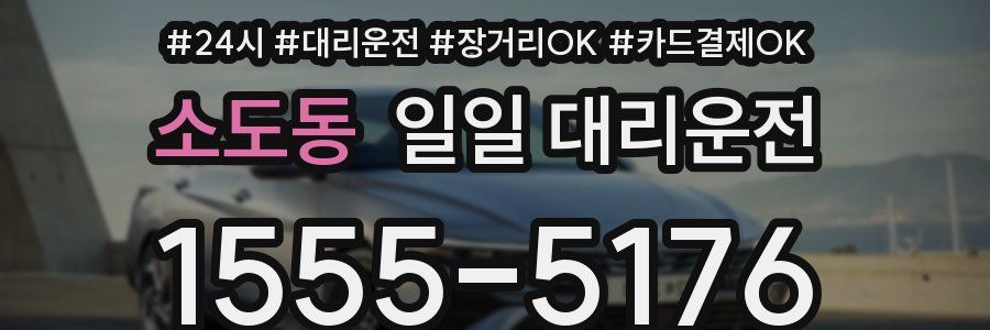 소도동 일일 대리운전