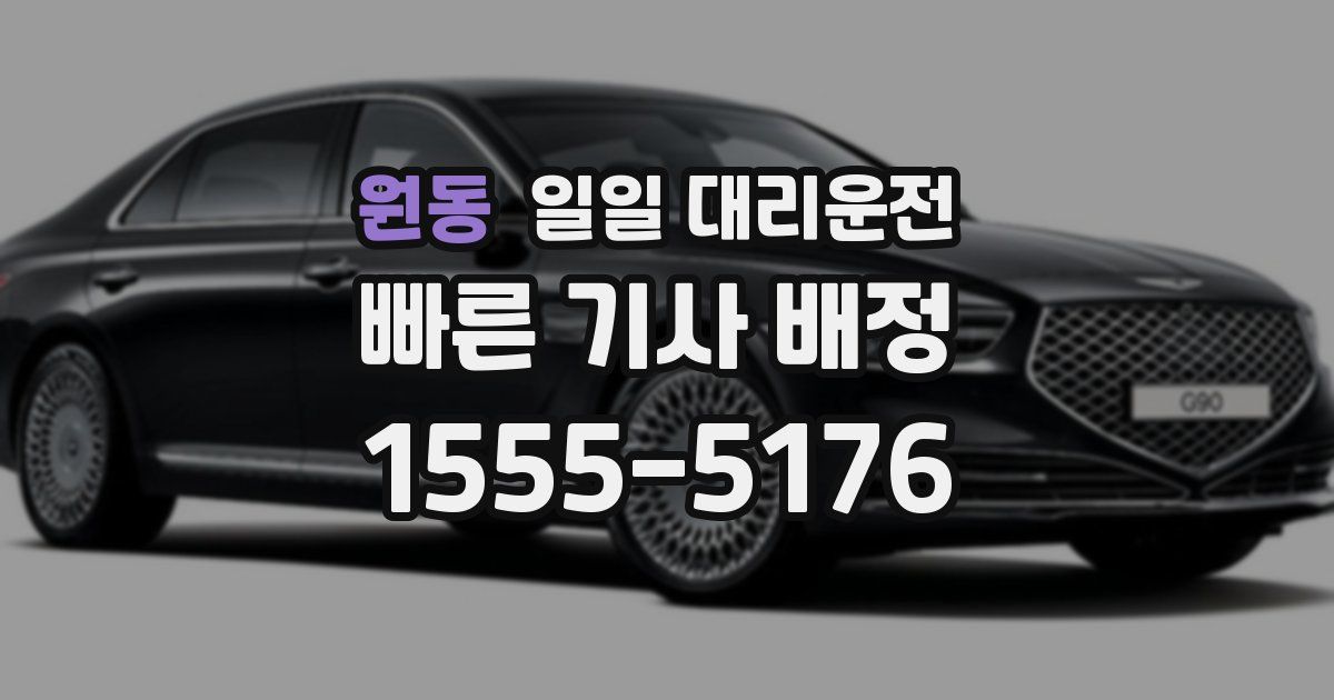 원동 일일 대리운전