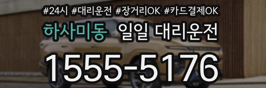 하사미동 일일 대리운전