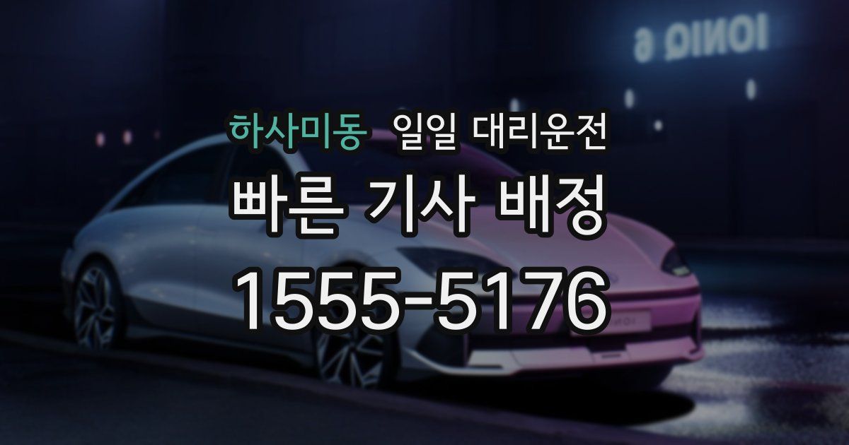 하사미동 일일 대리운전