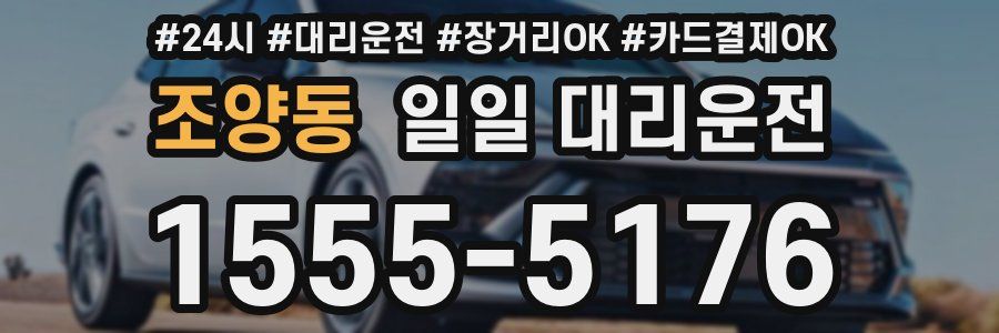 조양동 일일 대리운전