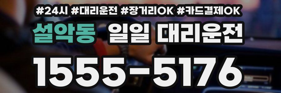 설악동 일일 대리운전