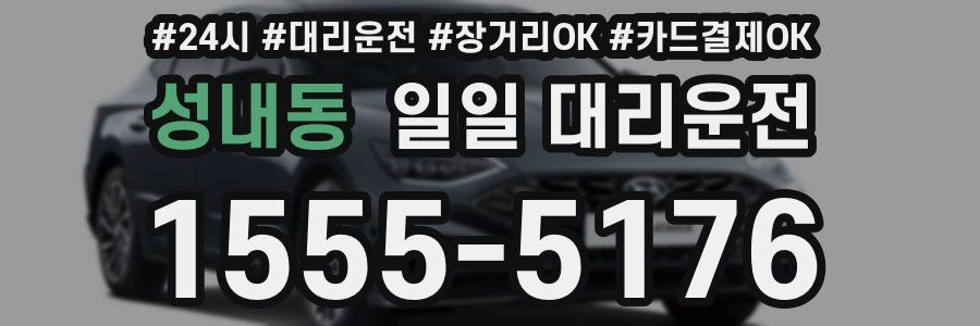 성내동 일일 대리운전