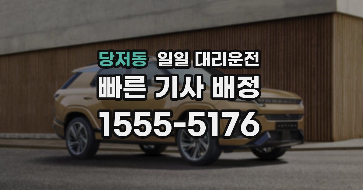 당저동 일일 대리운전
