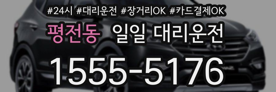 평전동 일일 대리운전