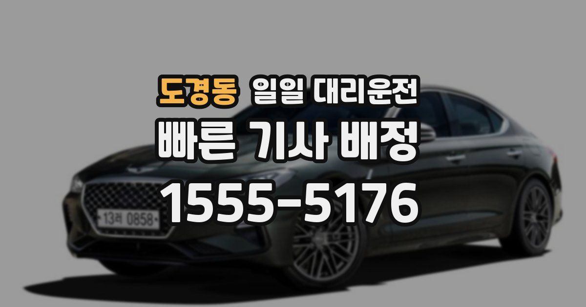 도경동 일일 대리운전