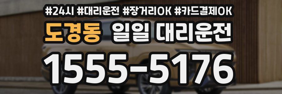 도경동 일일 대리운전