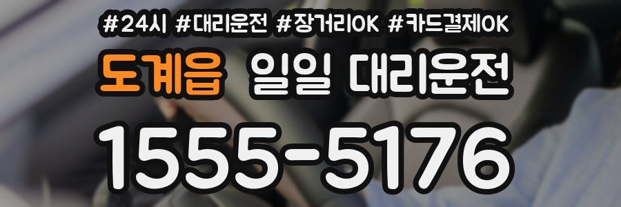 도계읍 일일 대리운전