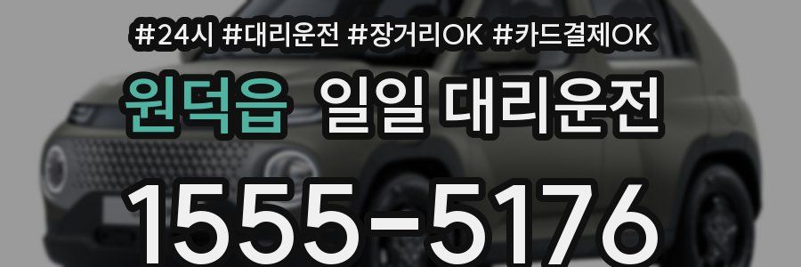 원덕읍 일일 대리운전