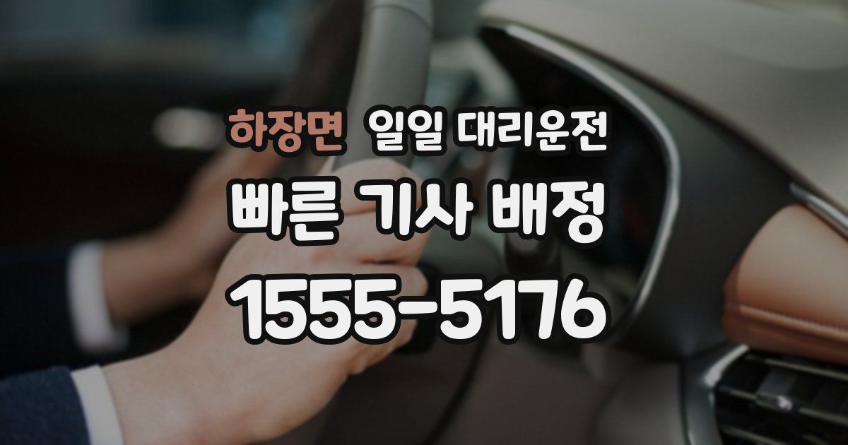 하장면 일일 대리운전