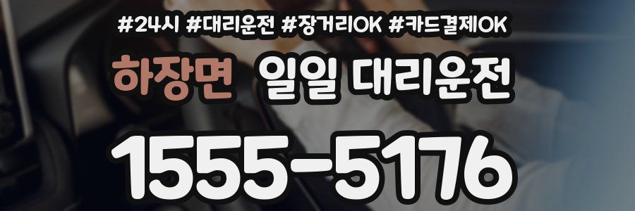 하장면 일일 대리운전