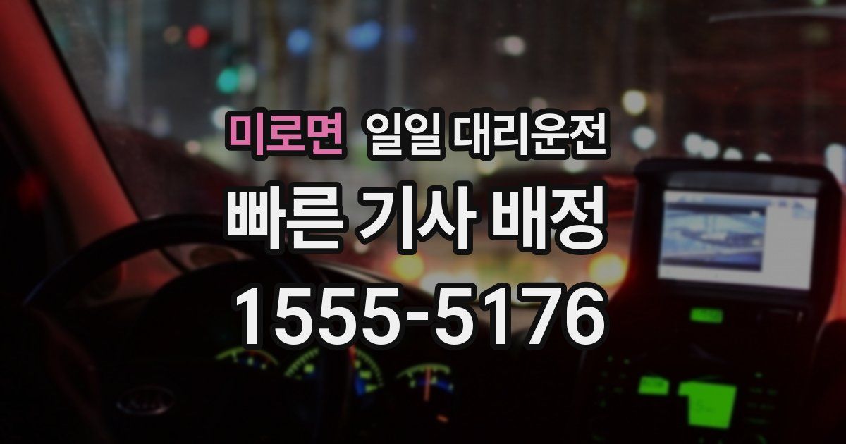미로면 일일 대리운전