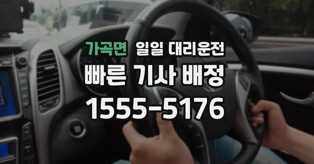 가곡면 일일 대리운전