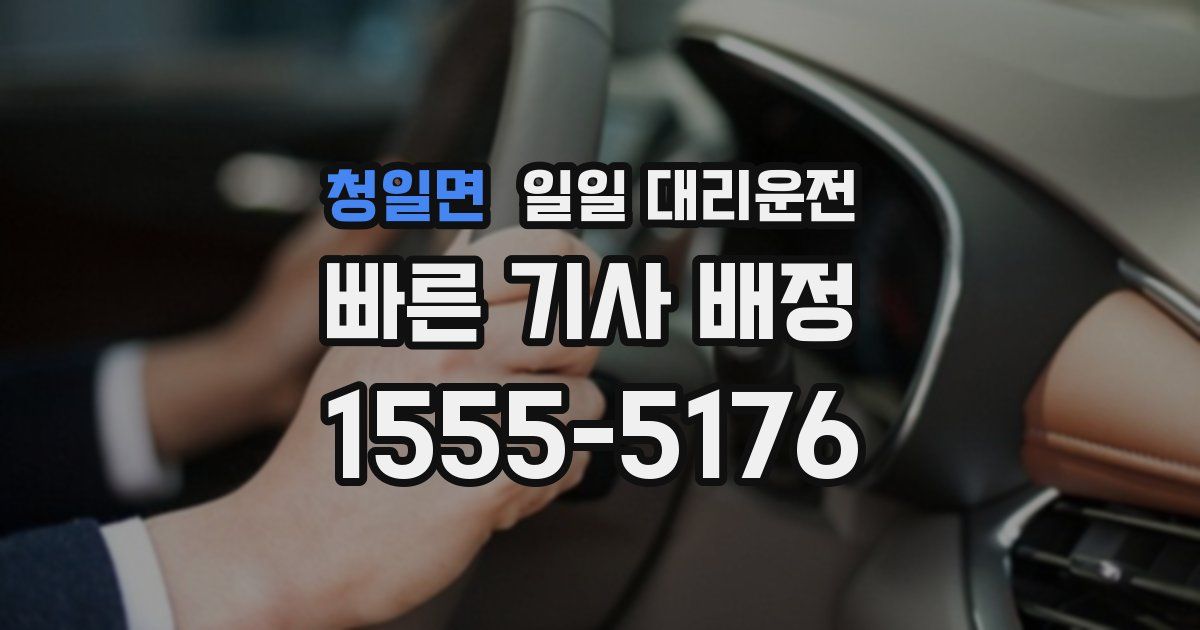 청일면 일일 대리운전