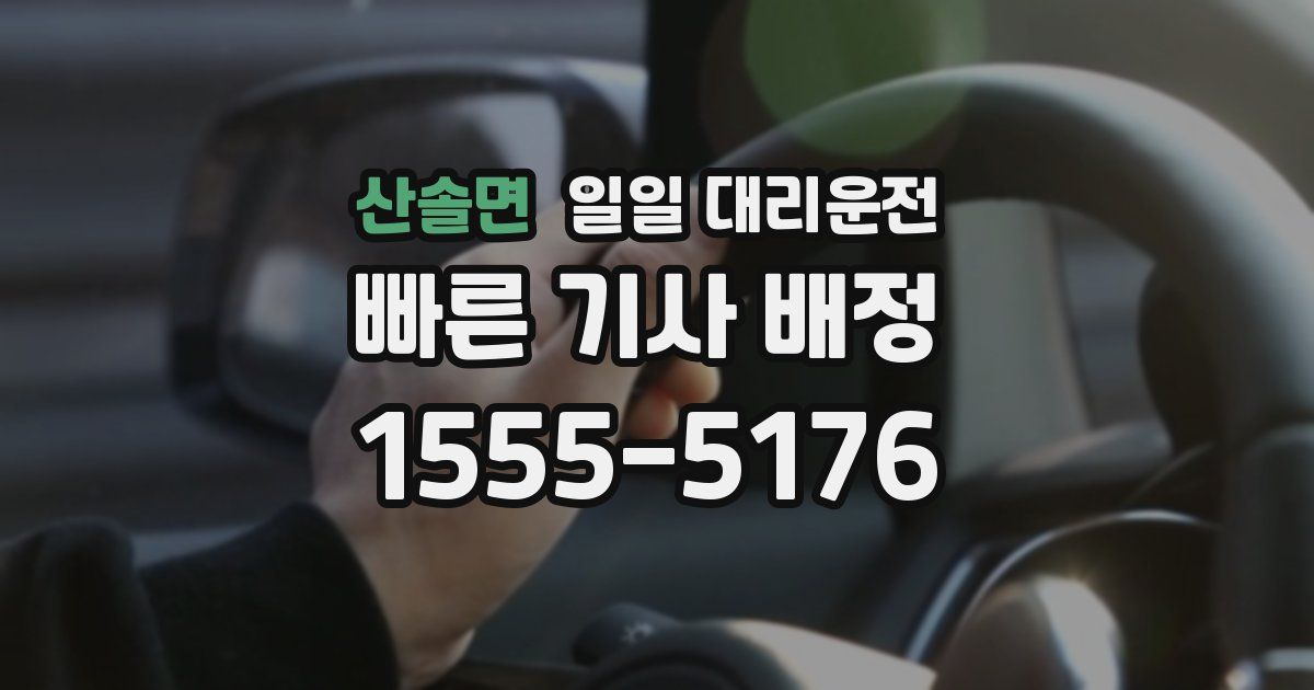 산솔면 일일 대리운전