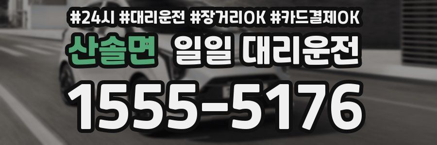 산솔면 일일 대리운전