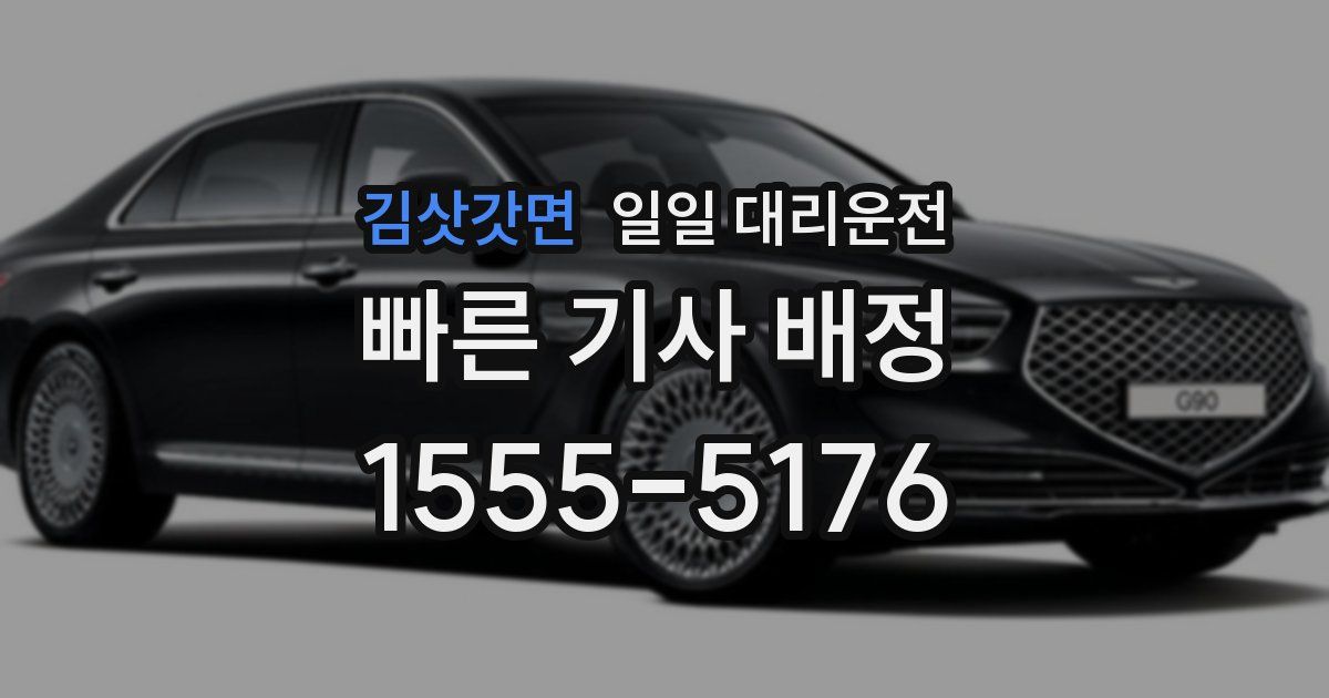김삿갓면 일일 대리운전