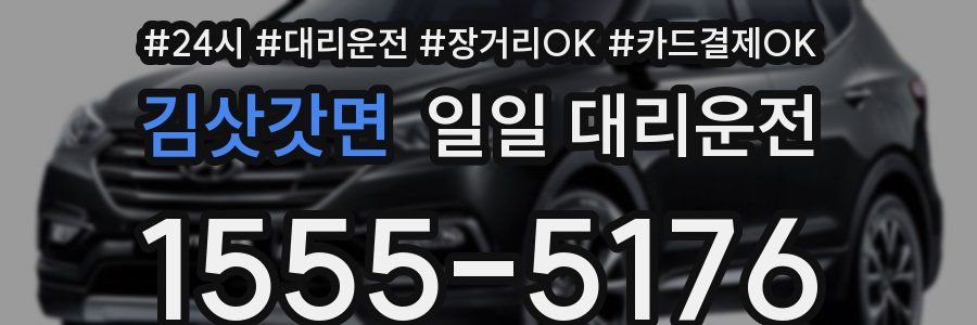 김삿갓면 일일 대리운전
