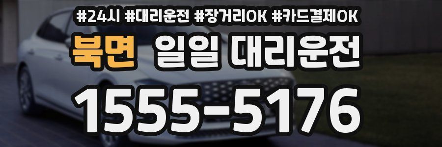 북면 일일 대리운전
