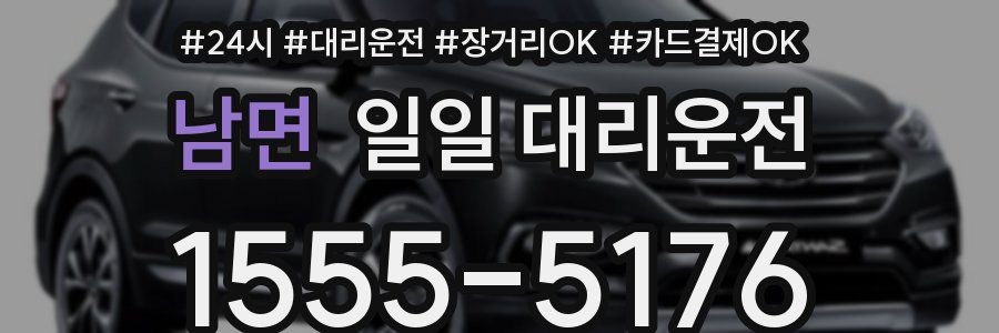 남면 일일 대리운전