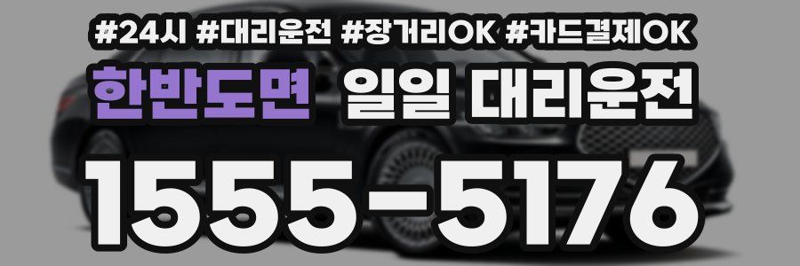 한반도면 일일 대리운전