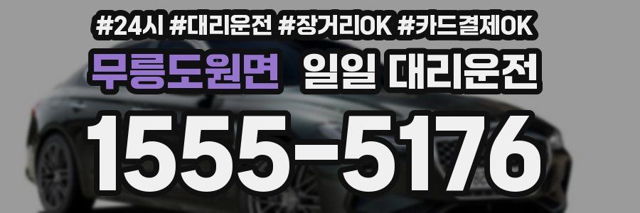 무릉도원면 일일 대리운전