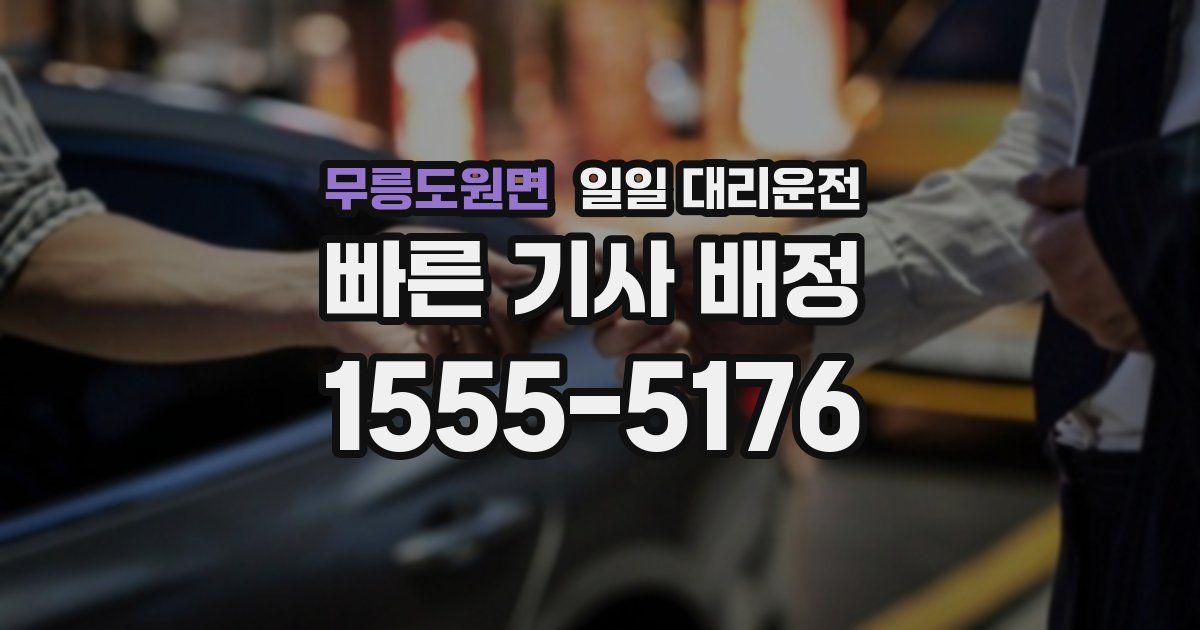 무릉도원면 일일 대리운전