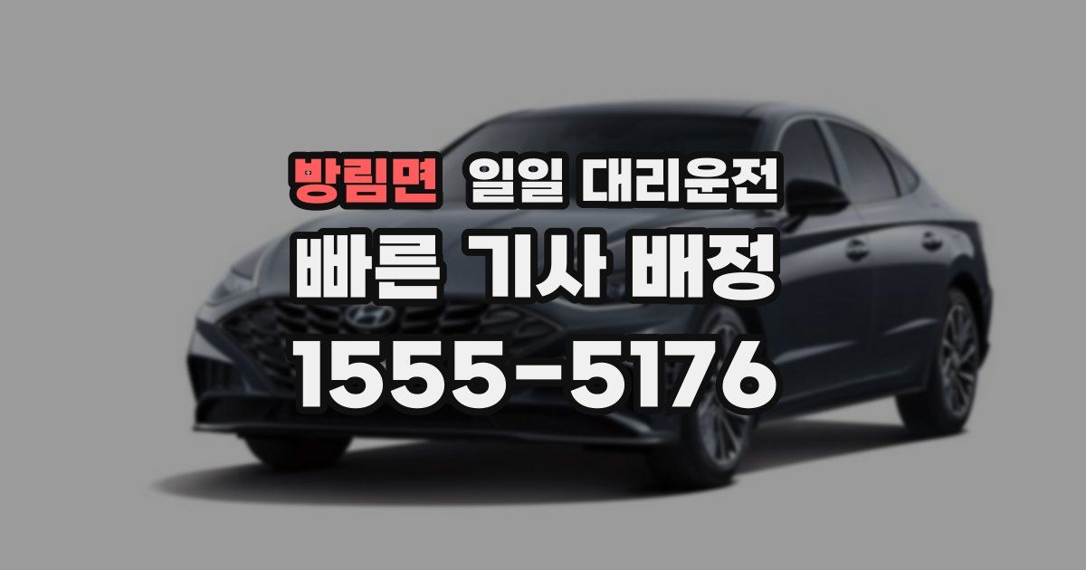 방림면 일일 대리운전