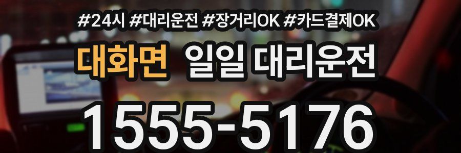 대화면 일일 대리운전