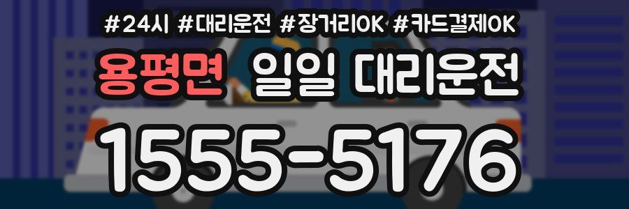 용평면 일일 대리운전
