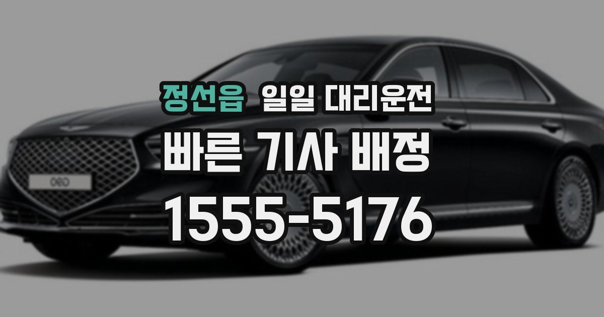 정선읍 일일 대리운전