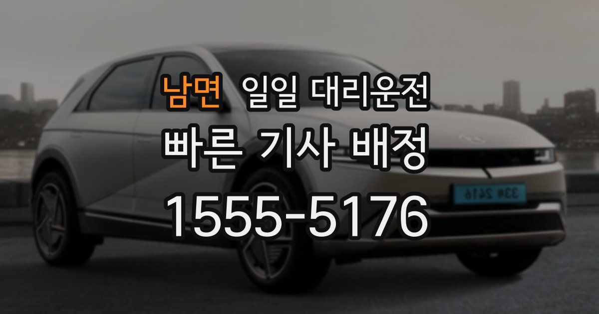 남면 일일 대리운전