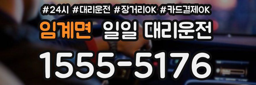 임계면 일일 대리운전