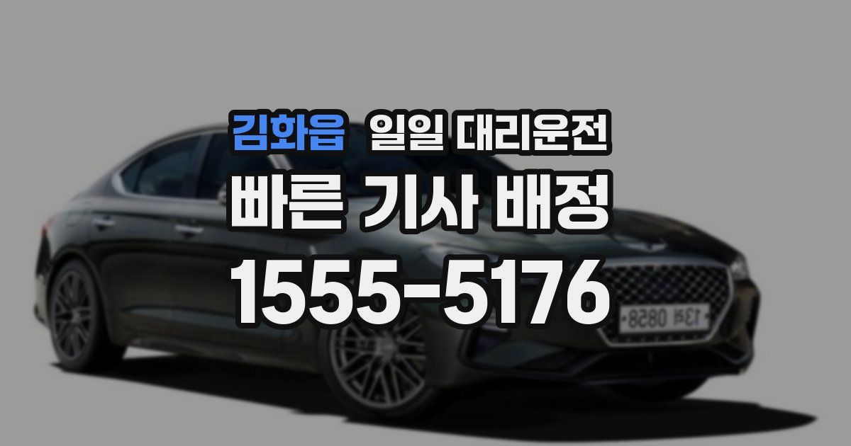 김화읍 일일 대리운전