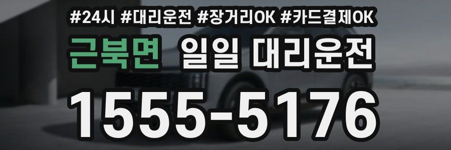 근북면 일일 대리운전