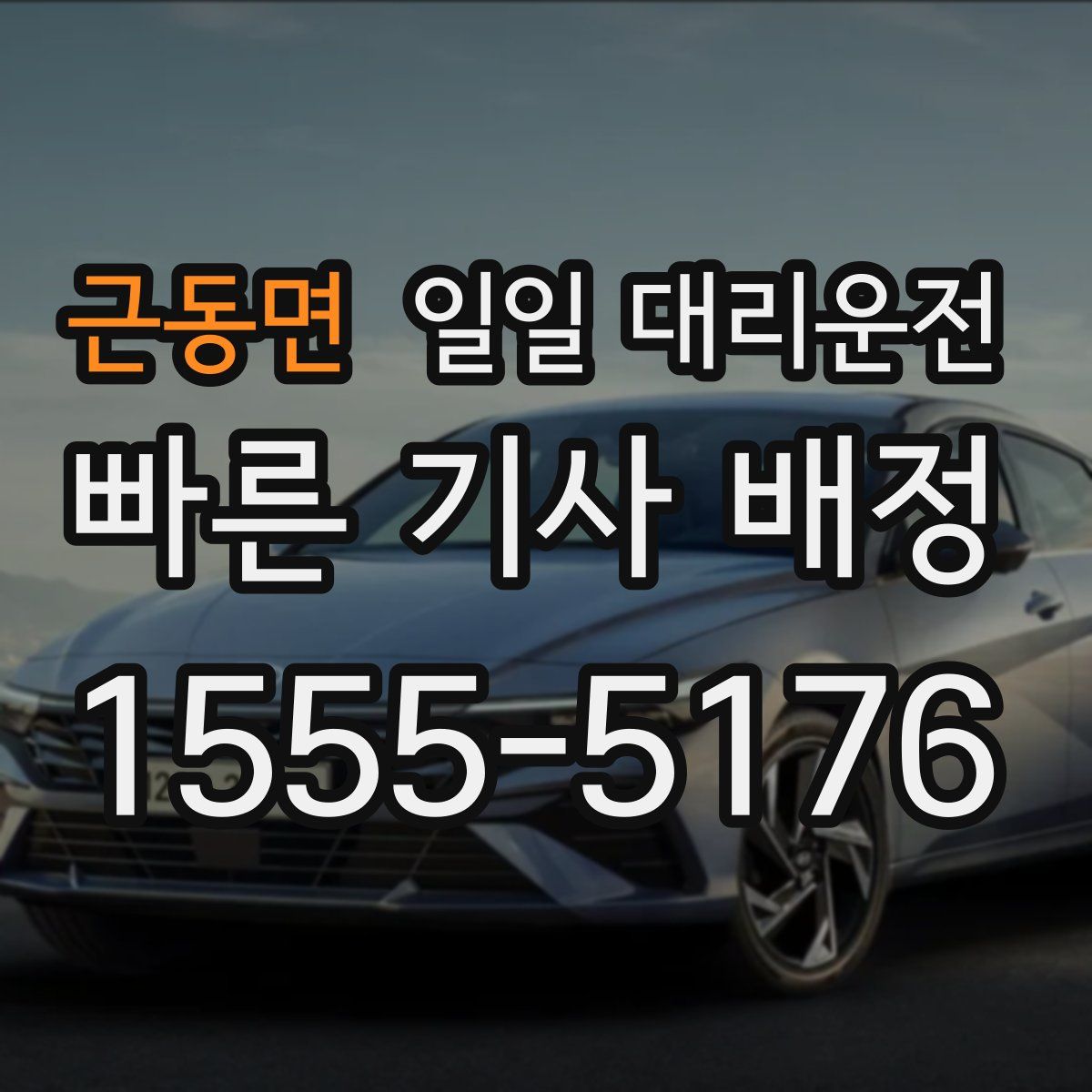 근동면 일일 대리운전