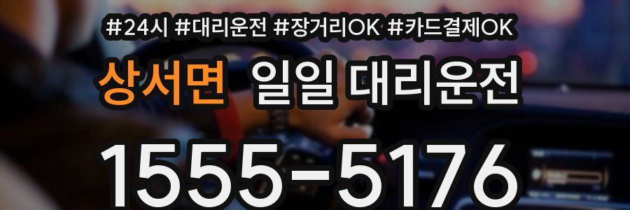 상서면 일일 대리운전