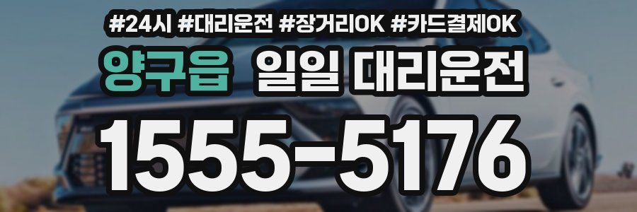 양구읍 일일 대리운전