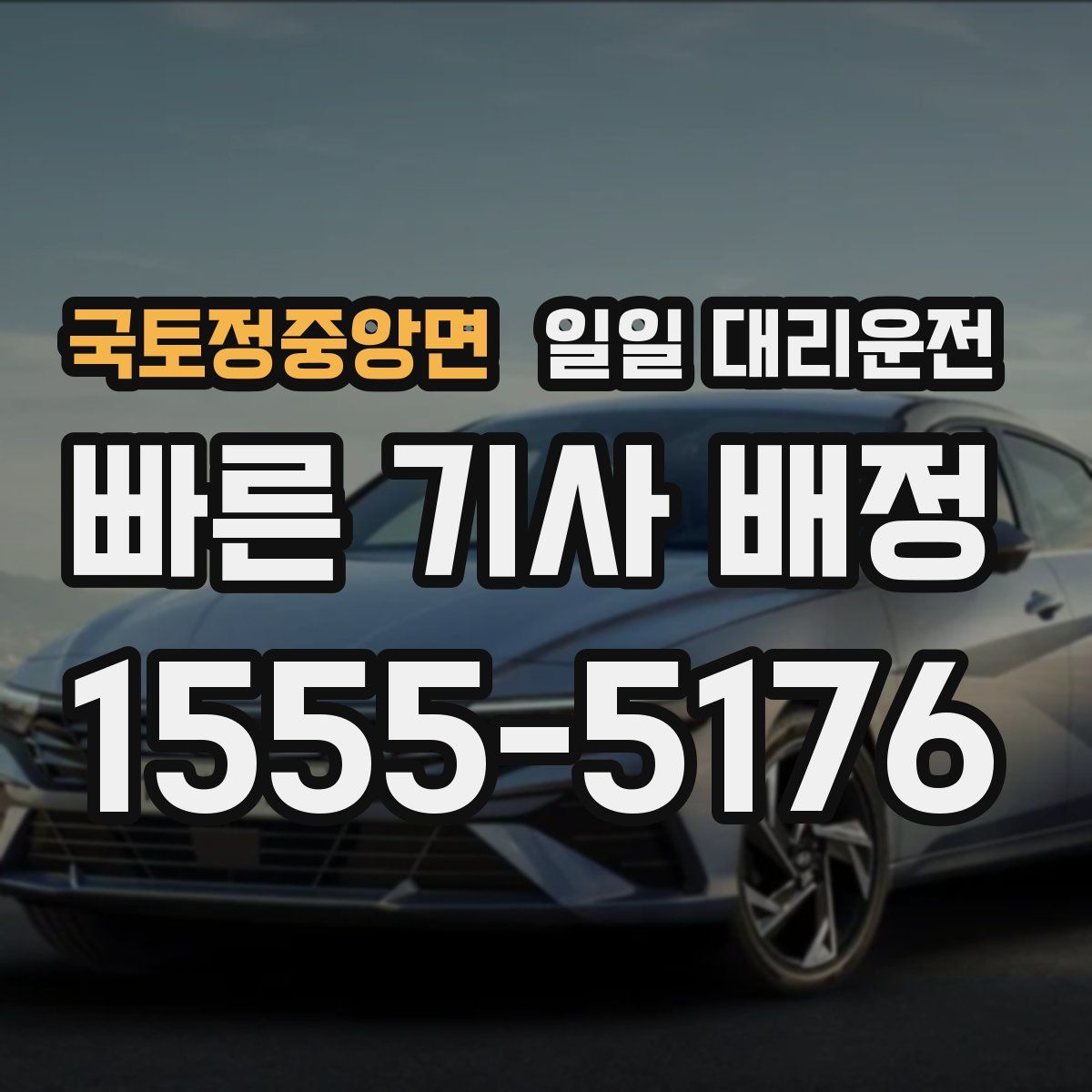 국토정중앙면 일일 대리운전