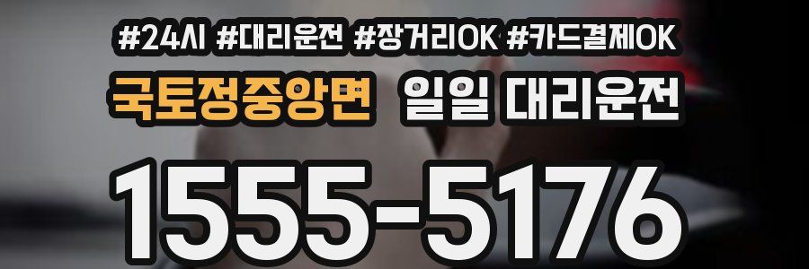 국토정중앙면 일일 대리운전