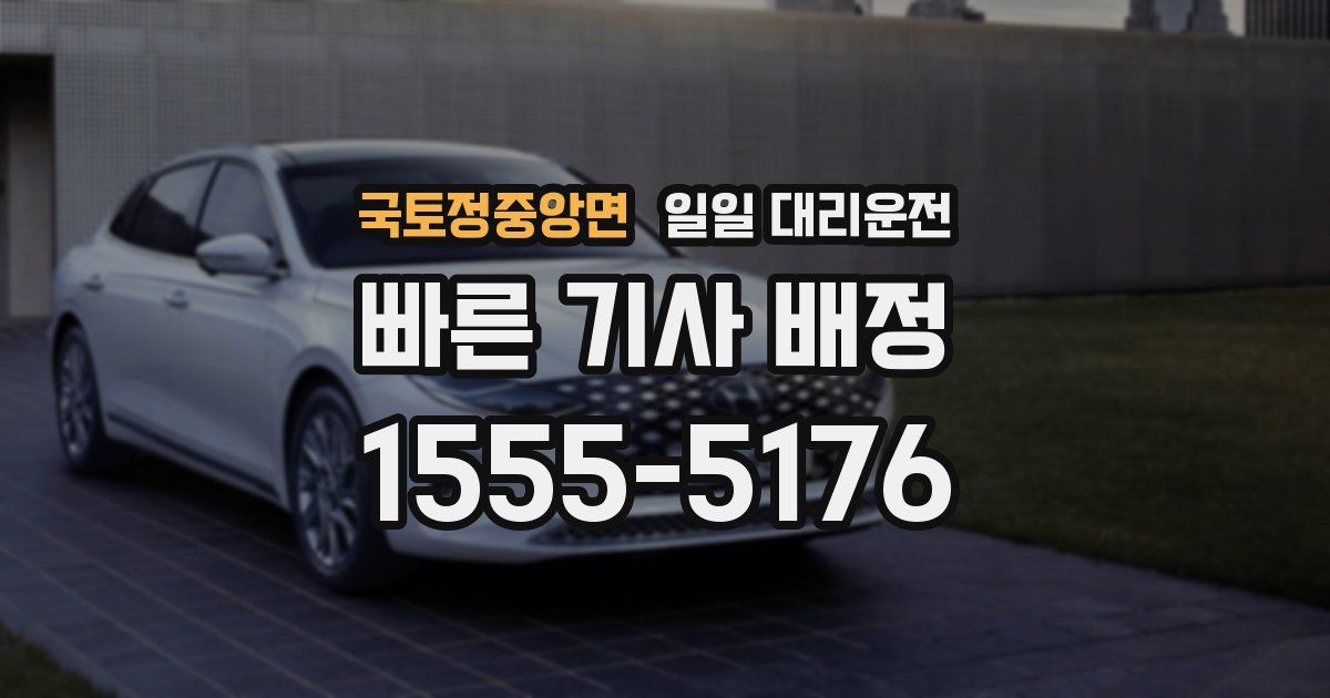 국토정중앙면 일일 대리운전