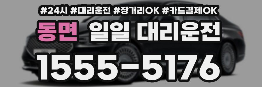 동면 일일 대리운전