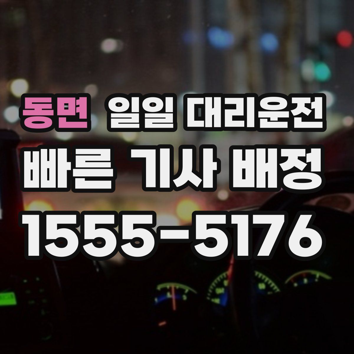 동면 일일 대리운전