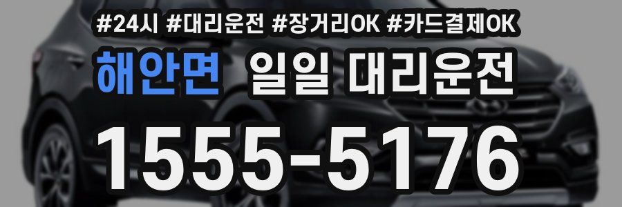 해안면 일일 대리운전