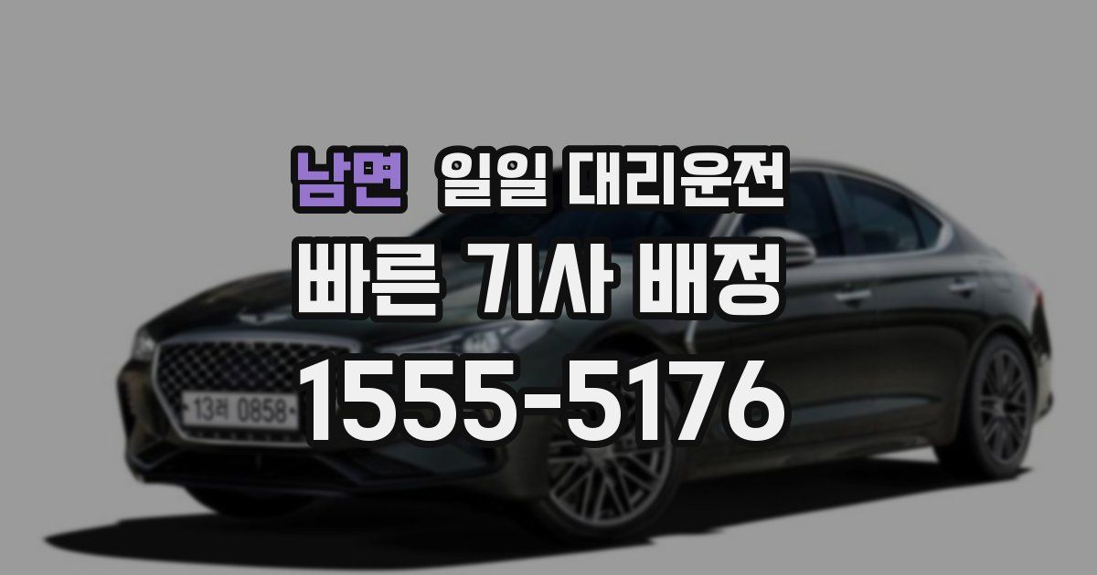 남면 일일 대리운전