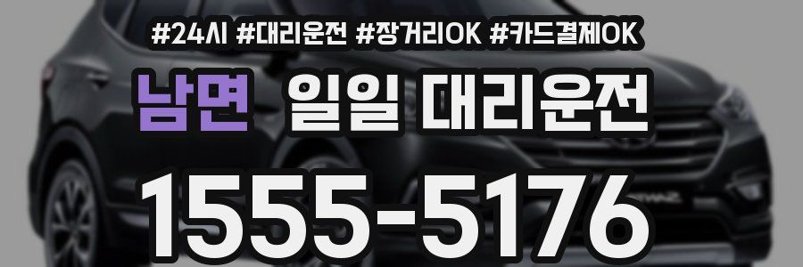 남면 일일 대리운전