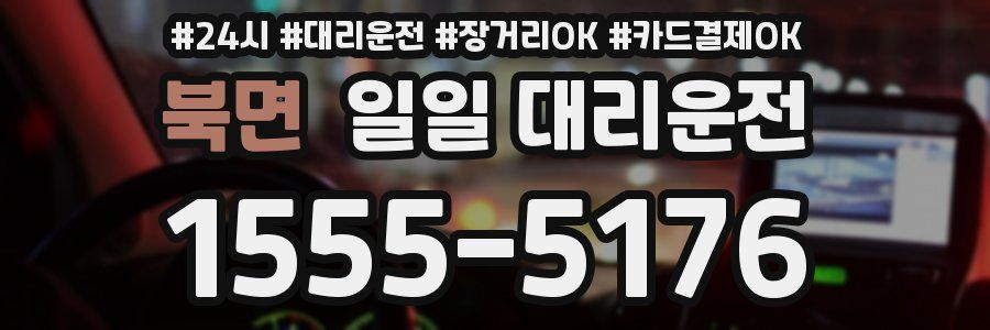 북면 일일 대리운전
