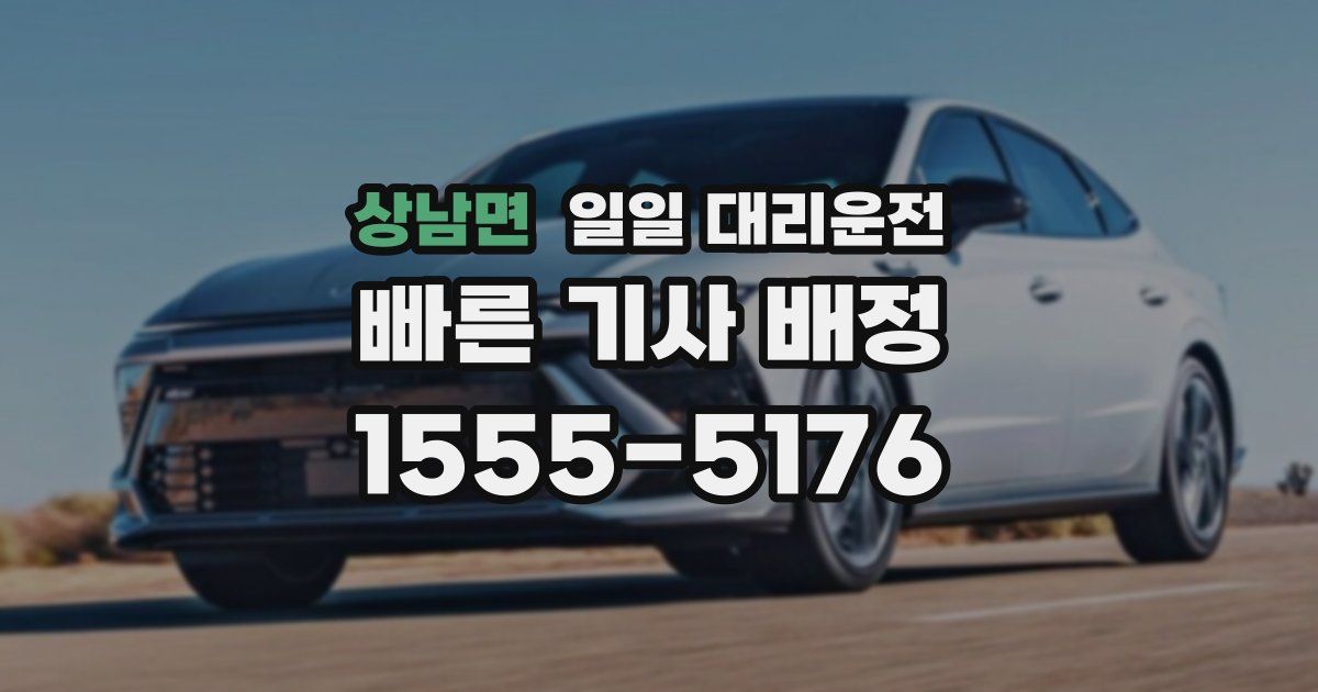 상남면 일일 대리운전