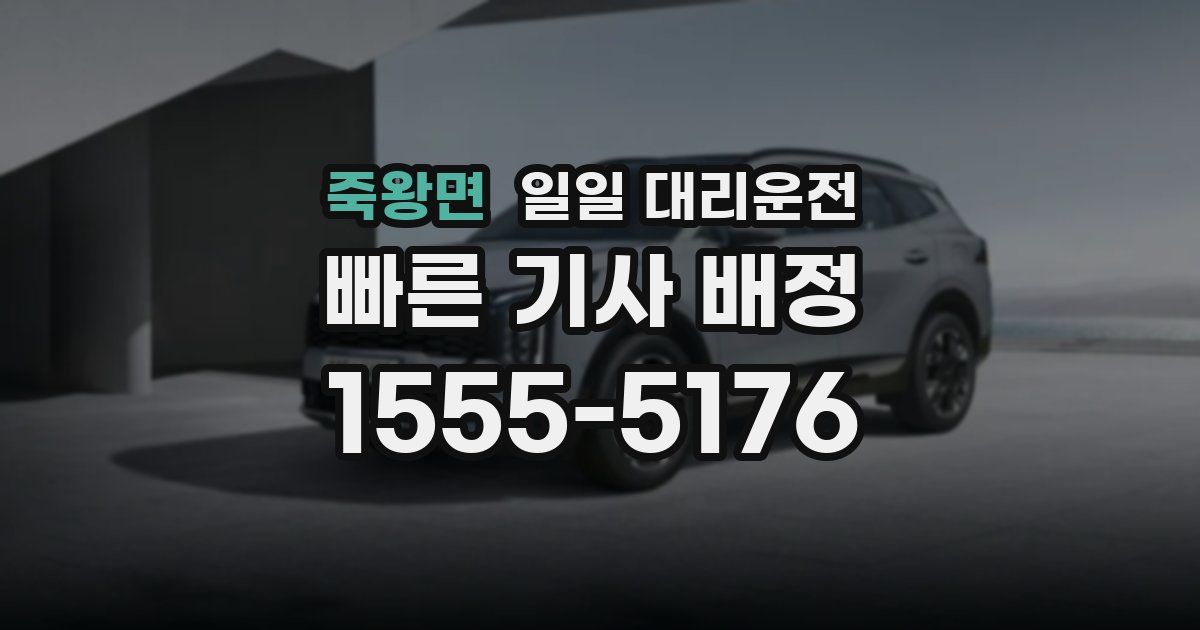 죽왕면 일일 대리운전
