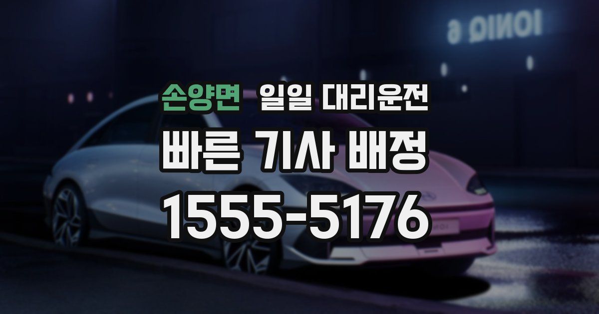 손양면 일일 대리운전